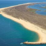 Tour in Paradise: Ria Formosa - The Value of This Tour: Is It Worth It?