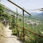 Tour in the Prosecco Hills Tour from Padua - FAQs
