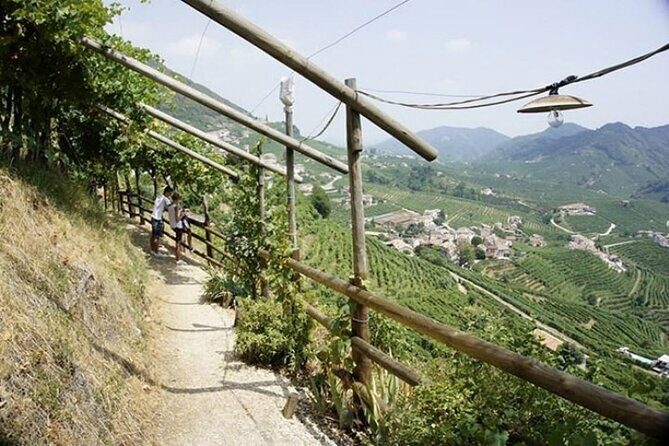 Tour in the Prosecco Hills Tour from Padua - FAQs