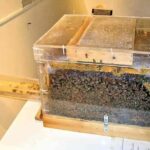 Tour & learn - What Travelers Say