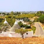 Tour of LOCOROTONDO and ALBEROBELLO departing from Bari - Who Would Love This Tour?