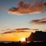 Tour of the authentic fjords of Kvaløya to Sommarøy - Who Will Love This Tour?