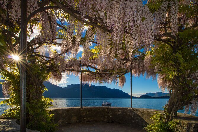 Tour of the most beautiful Villas of Lake Como - Morning Departure and Villa Balbianello