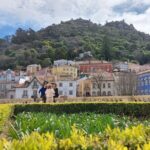 Tour Sintra from Lisbon Half Day - Who Is This Tour Best For?