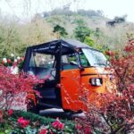 Tour Sintra Palaces & Mountain - Whats Included & Whats Not