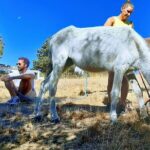 Tour the Sanctuary and Walk with the Donkeys and Share their Love - Who Should Book This Tour?