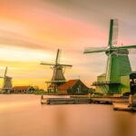 Tour to the Alkmaar Cheese market and Windmills from Amsterdam - What’s Included and What to Consider