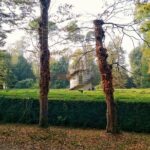 Tour to the Venetian Villas and the Brenta Riviera from Venice - Why This Tour Is Worth Considering