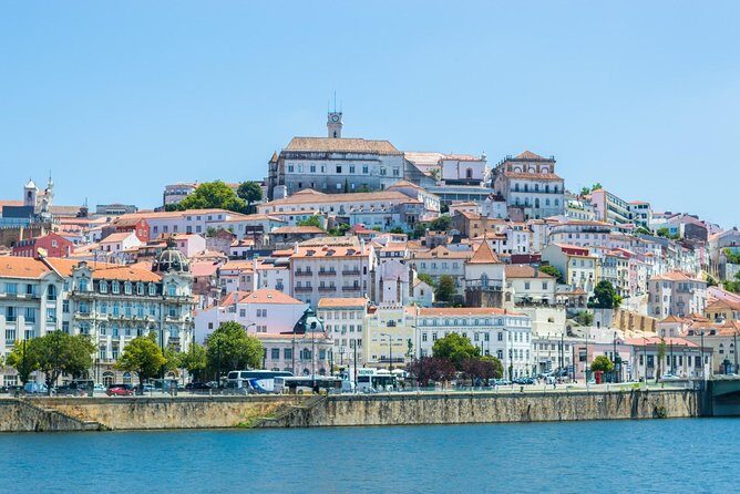 Tour/transfer Lisbon Porto or Porto Lisbon with 3 stops - Practical Details: Comfort, Timing, and Value