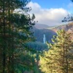 Tour Wicklow Mountains National Park in a limo with private guide - Who Will Love This Tour?