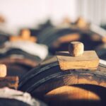 Tour with a tasting of the authentic Traditional Balsamic vinegar - Is It Worth the Price?