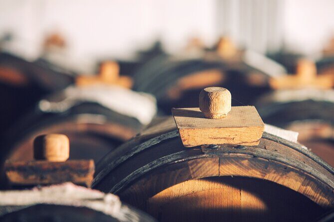 Tour with a tasting of the authentic Traditional Balsamic vinegar - Is It Worth the Price?