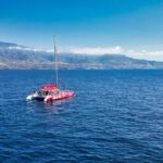 Tour with Whale and Dolphin Watching plus food included - Who Should Book This Tour?