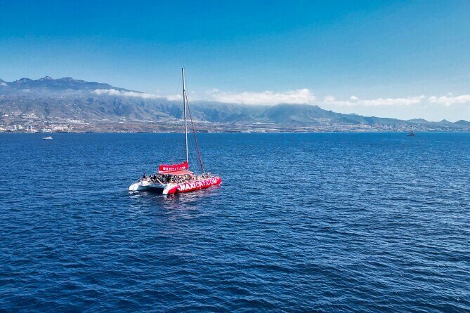 Tour with Whale and Dolphin Watching plus food included - Who Should Book This Tour?