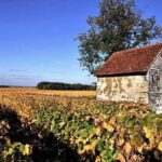 Touraine-Chenonceau private tour - Why This Tour Stands Out