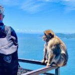 Tours of Gibraltar - STANDARD TOUR - What Makes This Tour Stand Out?