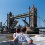 Tower Bridge River Sightseeing Cruise from Westminster - The Sum Up