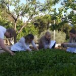 Traditional Dalmatian Cooking Class from Dubrovnik - The Value of This Tour