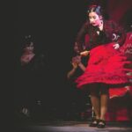 Traditional Flamenco Show at Tablao Casa Ana - In-Depth Look at the Itinerary