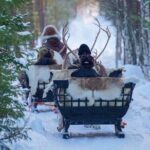 Traditional Reindeer Farm Visit with a Short Sleigh Ride - Who Is This Tour Best For?