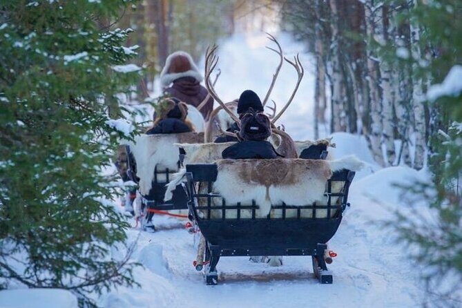 Traditional Reindeer Farm Visit with a Short Sleigh Ride - Who Is This Tour Best For?