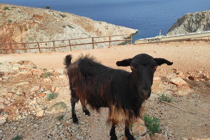 Traditional villages of Chania Private Tour to Explore pure Crete - What Makes this Tour Stand Out