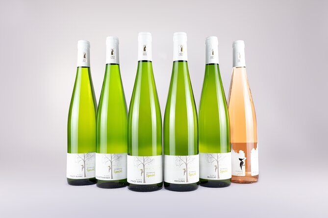 Traditional visit and tasting - Why This Tour Works Well for Travelers