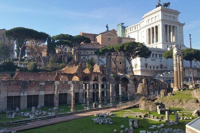 Transfer Civitavecchia Cruise Port>Rome/FCO/or Private Revers - Analyzing the Value