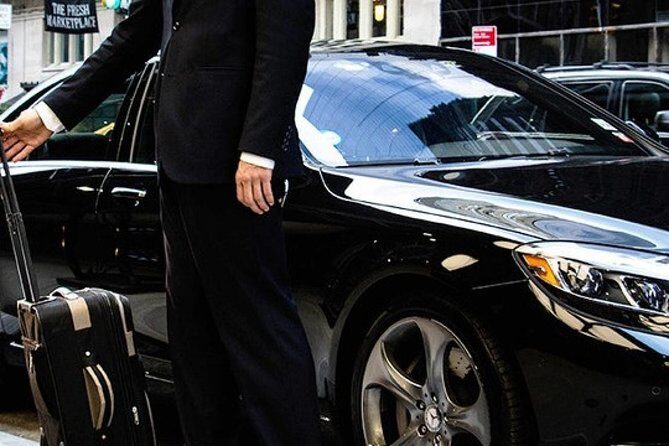 Transfer Civitavecchia Port to airport area - Who Should Book This Transfer?