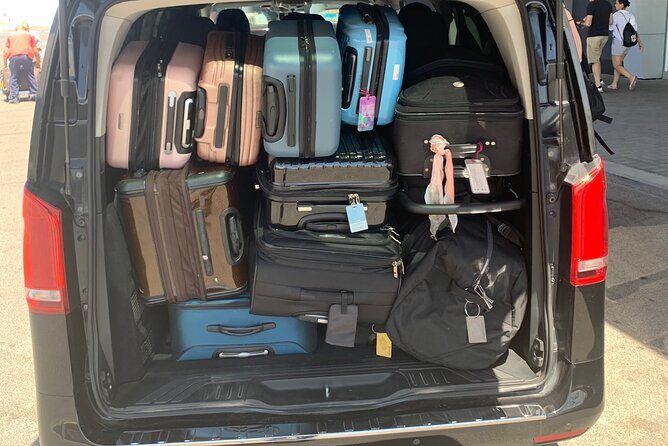 Transfer Civitavecchia port to Rome - A Closer Look at the Reviews