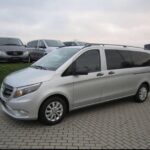 Transfer from Amalfi to Naples with a 2hr stop at Pompeii (1-8 PAX) - What Makes This Tour Stand Out?