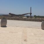 Transfer from and to Catania Airport Taormina Giardini Naxos Letojanni Mazzarò. - Authentic Insights from Reviewers