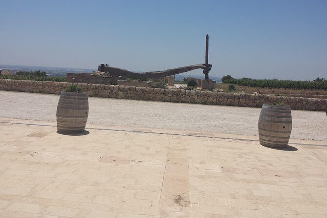 Transfer from and to Catania Airport Taormina Giardini Naxos Letojanni Mazzarò. - Authentic Insights from Reviewers