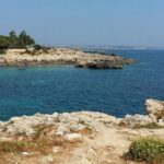 Transfer from Catania Airport to Syracuse - Price and Value