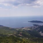 Transfer from Podgorica Airport and city to Tivat - Authentic Experiences from Reviewers