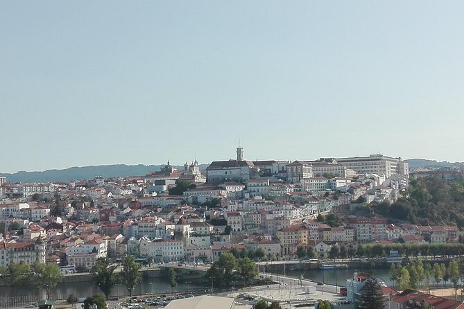 Transfer from Porto to Coimbra visiting Aveiro, half day - Price and Value