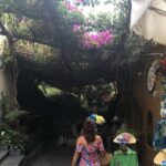 Transfer from Rome to Amalfi coast/Sorrento Area and Vice Versa - Practical Tips for Booking and Enjoying Your Transfer