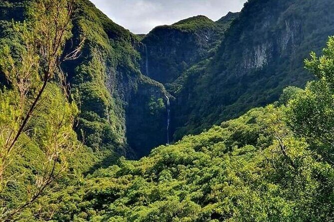 Transfer Rabacal 25 Fontes & Risco Levada Self-Guided - Analyzing the Value