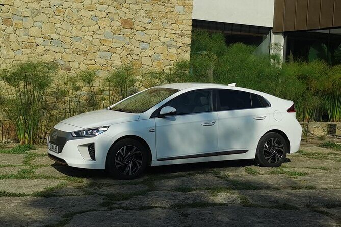 Transfer to Albufeira from Lisbon - The Vehicle and Amenities