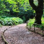 Transfer to Caldeirão Verde Levada Self-Guided Hike Queimadas - What Makes This Experience Stand Out?
