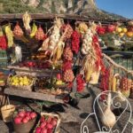 Transfer:Amalfi Coast-(via Matera 2h) Bari or reverse - Why Choose This Transfer?