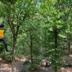 Tree Top Adventure in Forest of Meudon - Who Will Love This Tour?