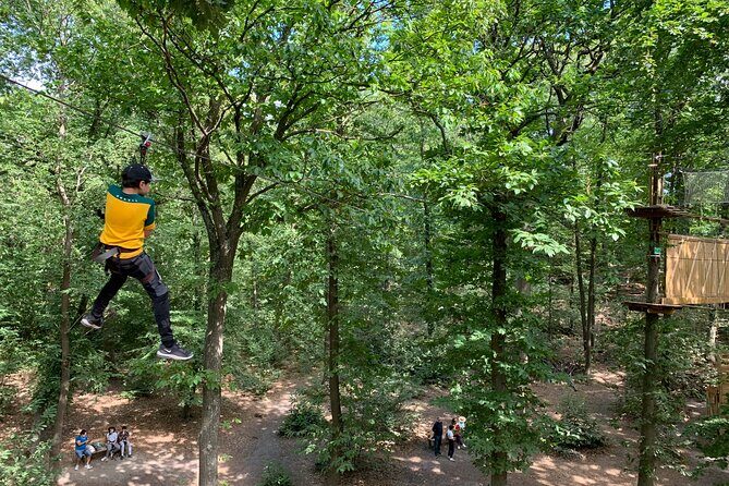 Tree Top Adventure in Forest of Meudon - Who Will Love This Tour?