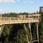 Treetop Walk in Slovakia and Thermal Baths from Krakow - What’s Included and What to Expect