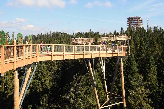 Treetop Walk in Slovakia and Thermal Baths from Krakow - What’s Included and What to Expect