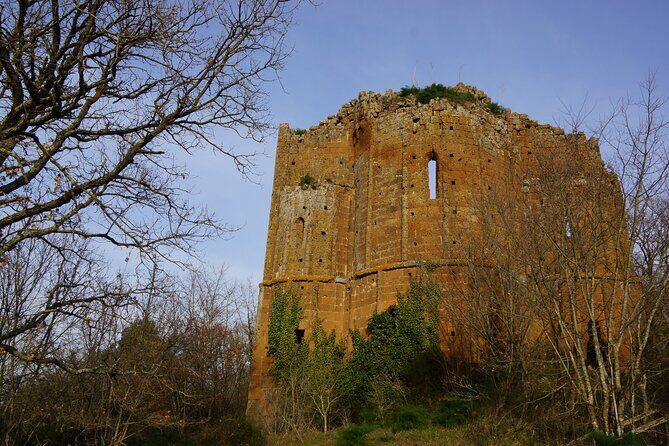 Trekking Excursion History and Nature Necropolis of Norchia from Rome - Who Should Consider This Tour?
