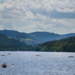 Trip from Zurich to Germany's Black Forest & Swiss Rhine Falls - The Experience Through Review Insights