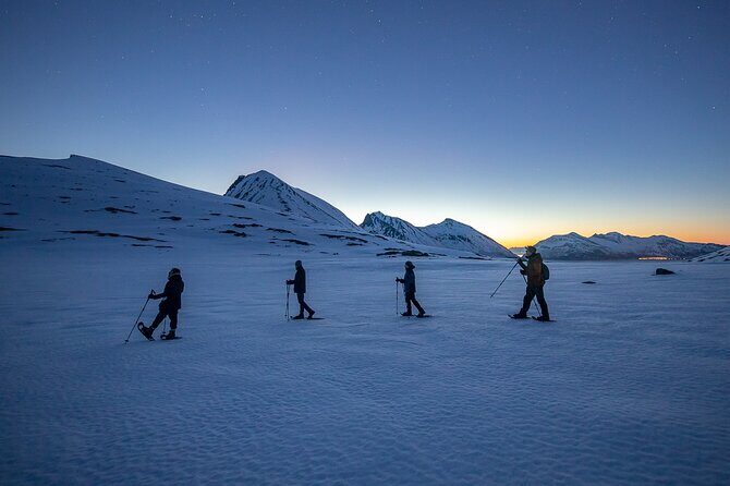 Tromsø: Arctic Landscapes Hiking / Snowshoeing Tour in the wild - What’s Worth Knowing in Detail