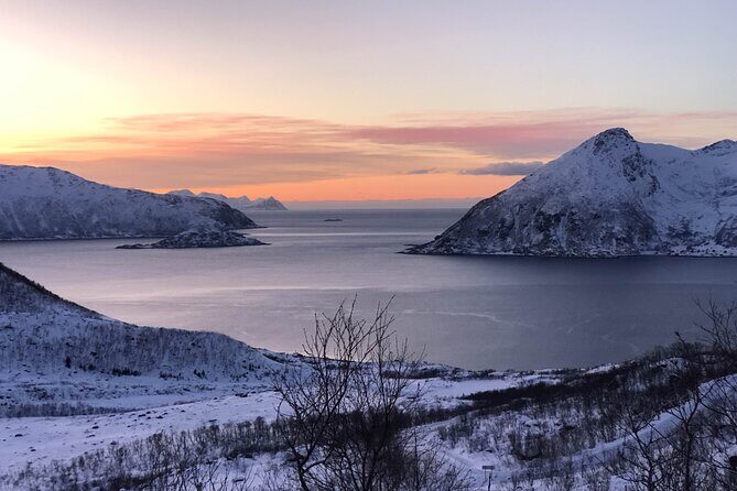 Tromsø: Fjords Tour with campfire and photos - Final Thoughts