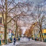 Trondheim Private Walking Tour - FAQs